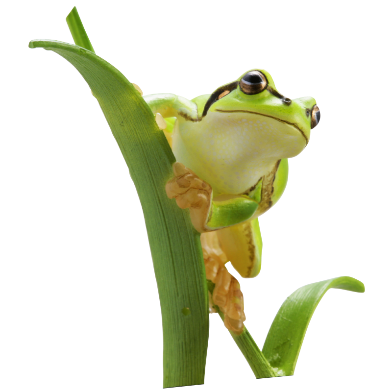 Kitan Club Nature Techni Color Japanese Tree Frog PVC mini capsule figure model figurine with base