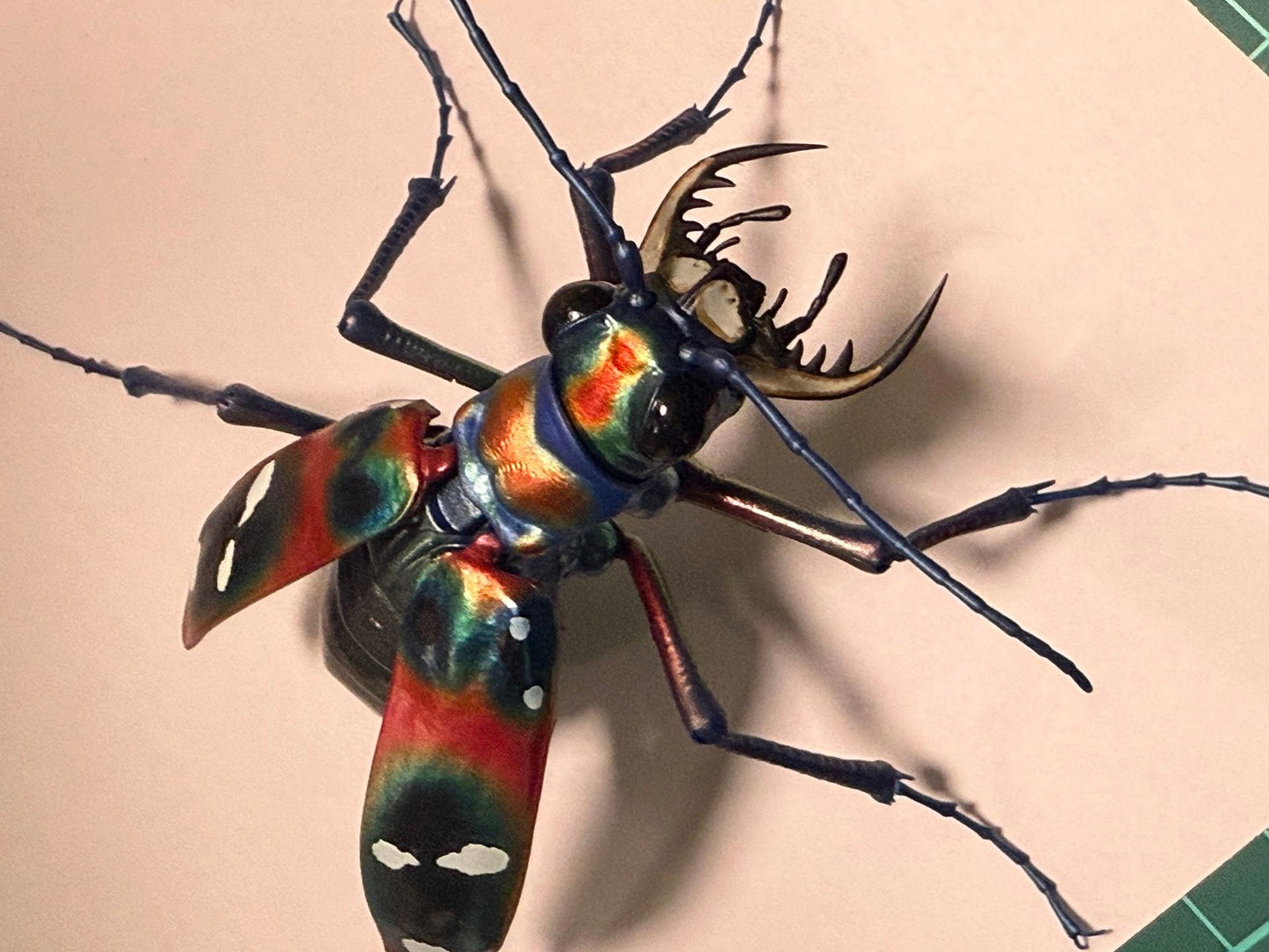 Japanese tiger beetle PVC Action Figure model with joints