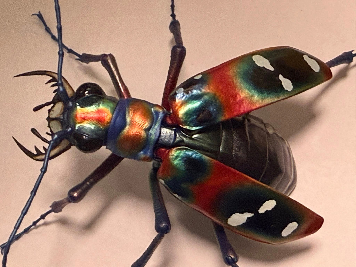 Japanese tiger beetle PVC Action Figure model with joints