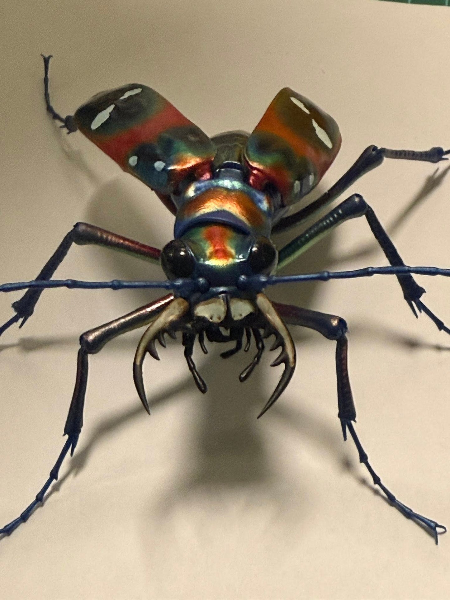 Japanese tiger beetle PVC Action Figure model with joints