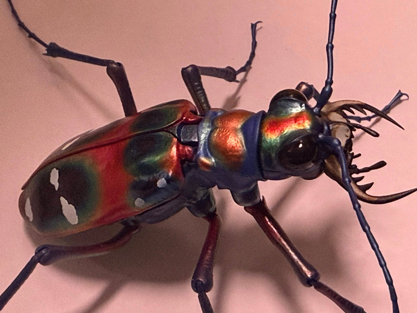 Japanese tiger beetle PVC Action Figure model with joints