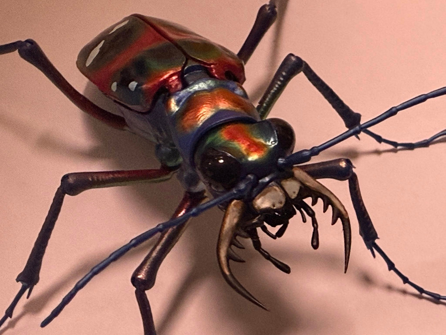 Japanese tiger beetle PVC Action Figure model with joints