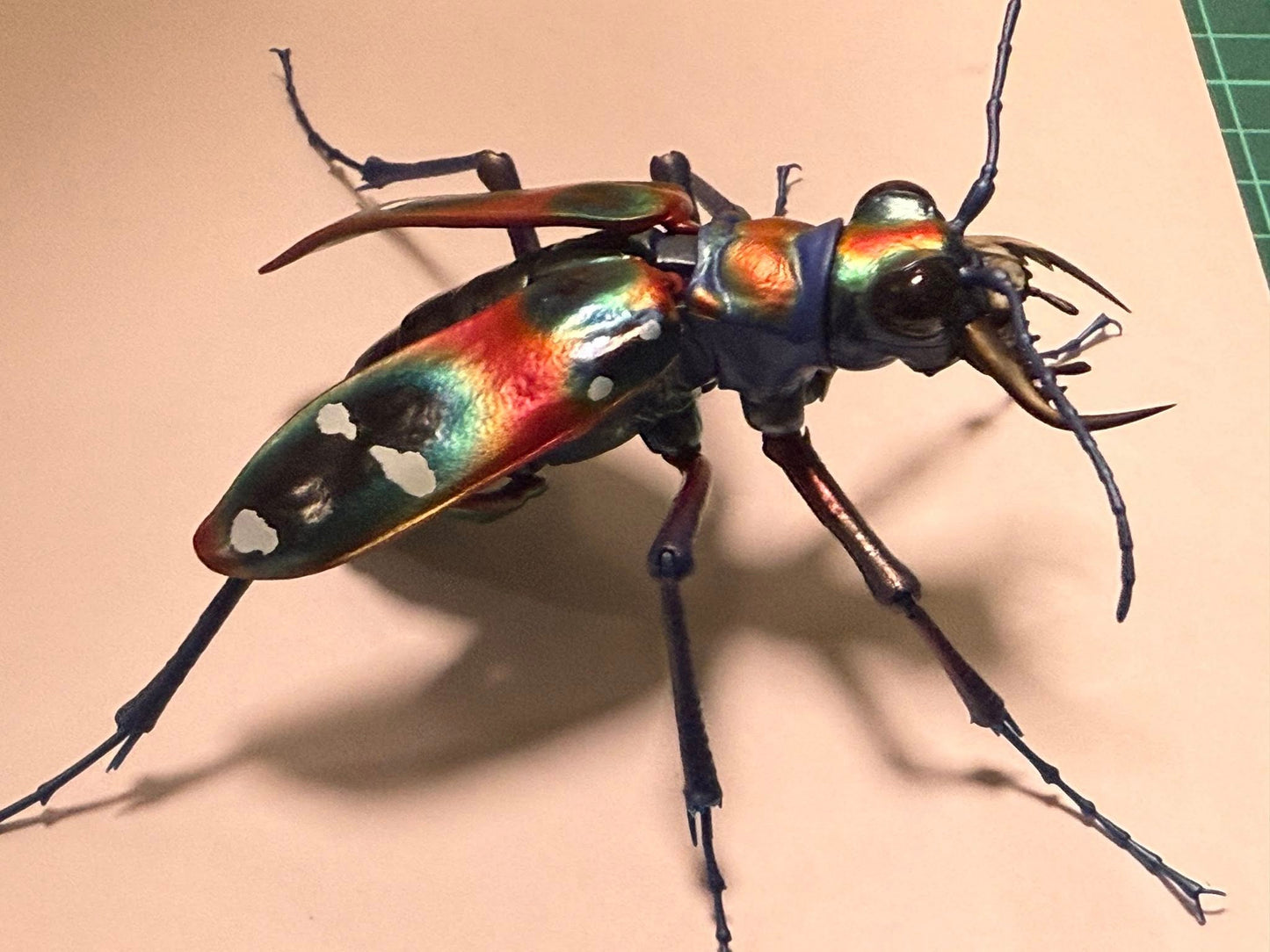 Japanese tiger beetle PVC Action Figure model with joints