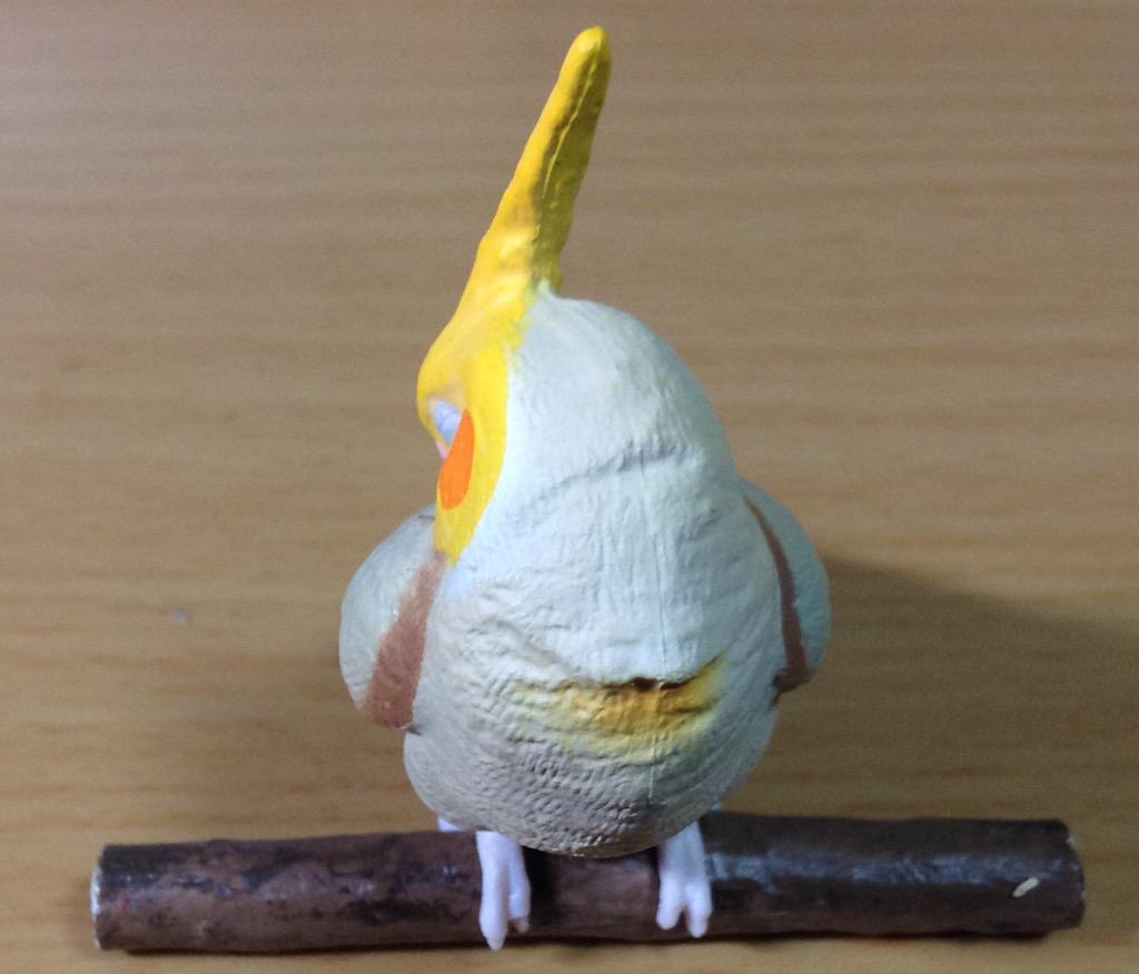 Retired Japan SHINEG Sleeping Brown Cockatoo Parrot Bird PVC mini figure figurine Model