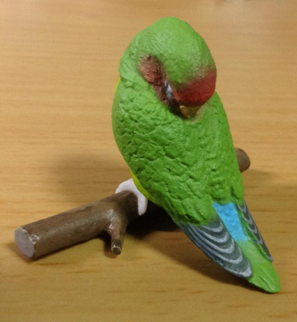 Retired Japan SHINEG Sleeping Love Bird Parrot Bird PVC mini figure figurine Model A
