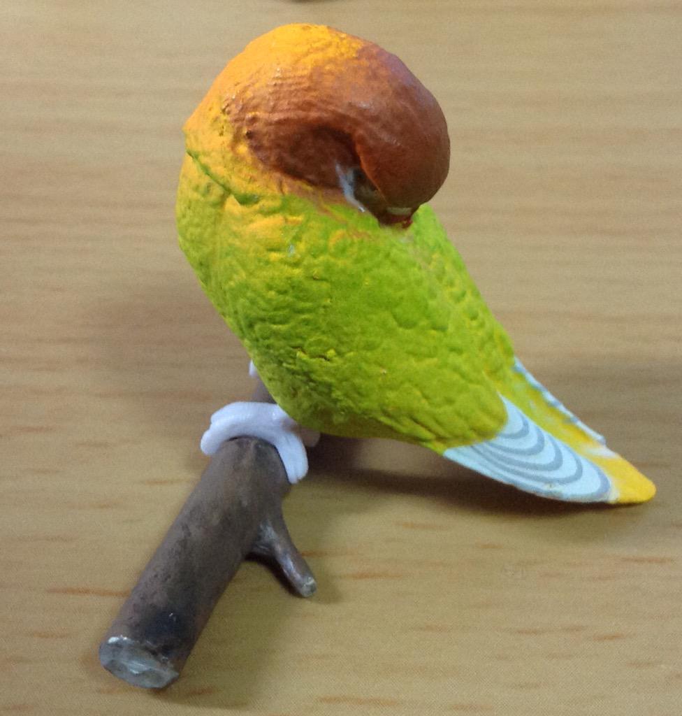Retired Japan SHINEG Sleeping Love Bird Parrot Bird PVC mini figure figurine Model B