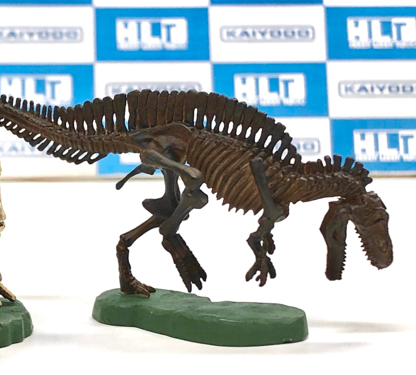 Retired Kaiyodo Sculpture of The largest & strongest Carnivore Dinosaur Acrocanthosaurus Skeleton PVC mini figure model (Dark)