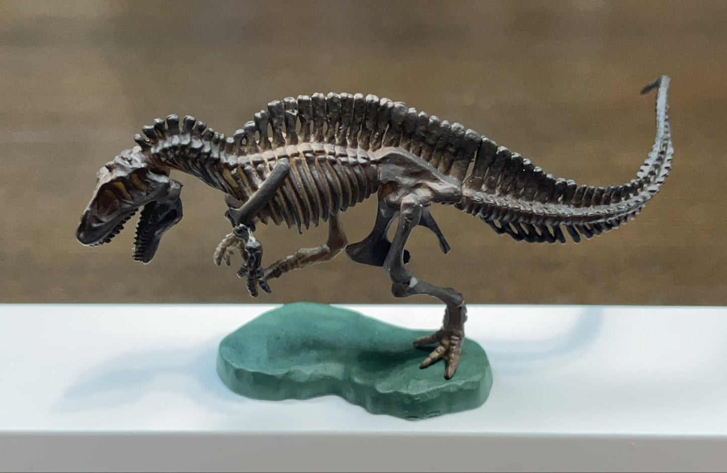 Retired Kaiyodo Sculpture of The largest & strongest Carnivore Dinosaur Acrocanthosaurus Skeleton PVC mini figure model (Dark)