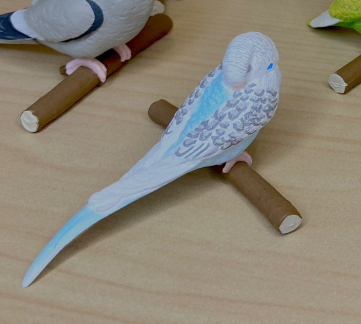 Retired Japan SHINEG Sleeping Budgerigar common parakeet Parrot Bird PVC mini figure figurine Model A