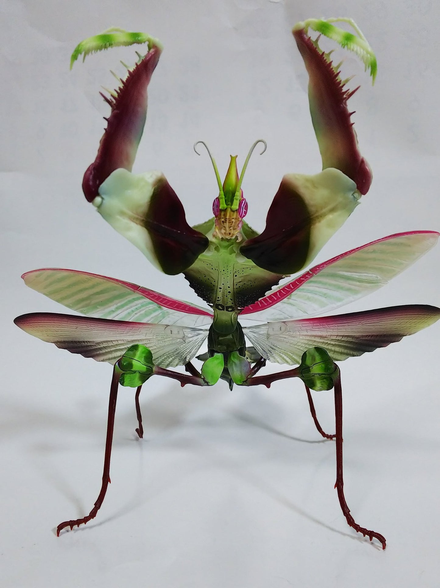 Female Giant devil's flower mantis adult insect PVC Action Figure model with joints