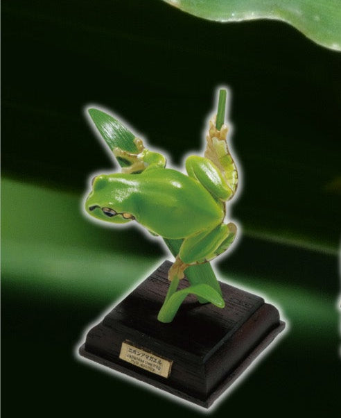 Kitan Club Nature Techni Color Japanese Tree Frog PVC mini capsule figure model figurine with base