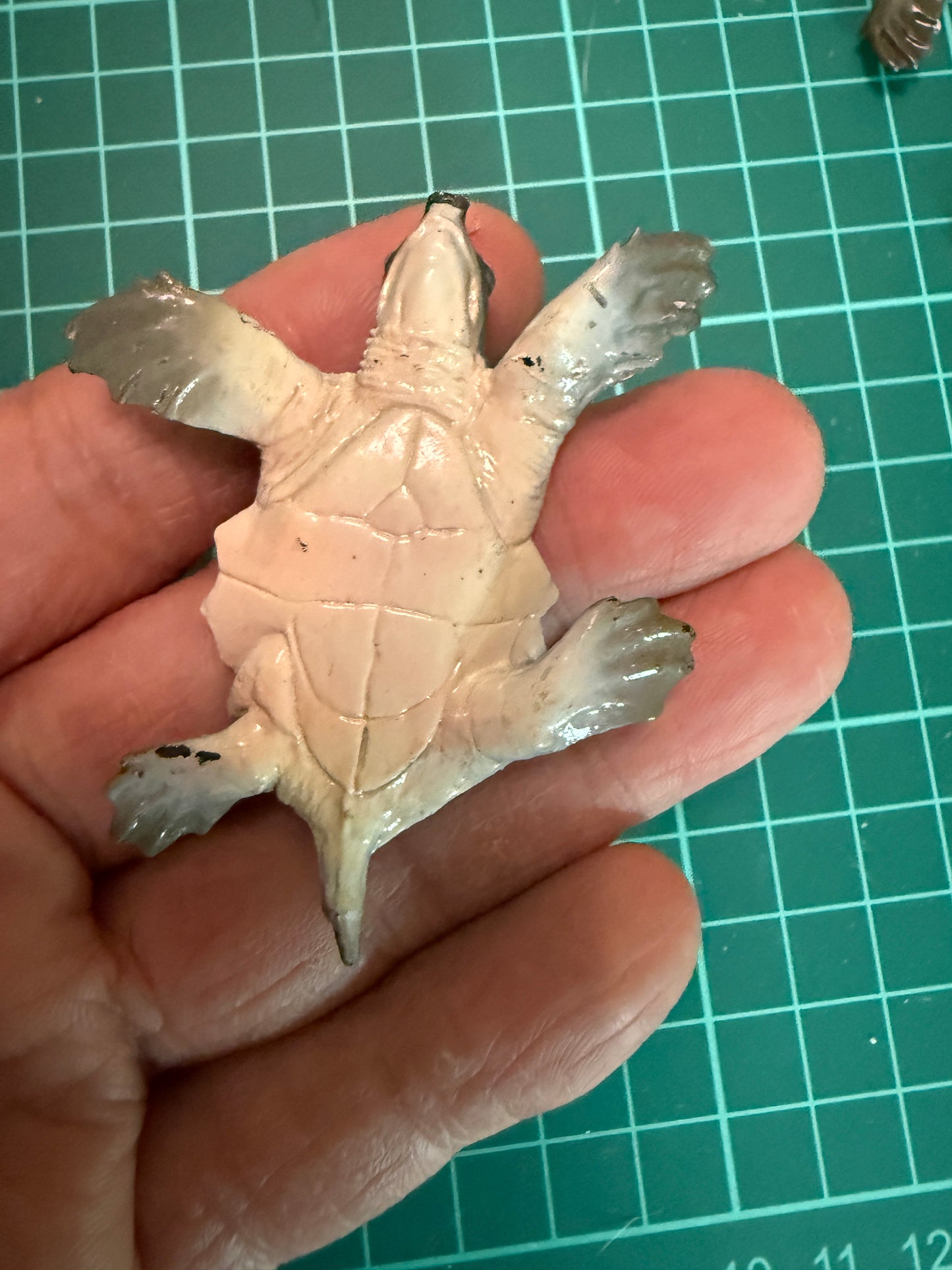 Japan Hikari exclusive Pig-nosed turtle Fly River turtle PVC mini Model Figurine Figure (parts)
