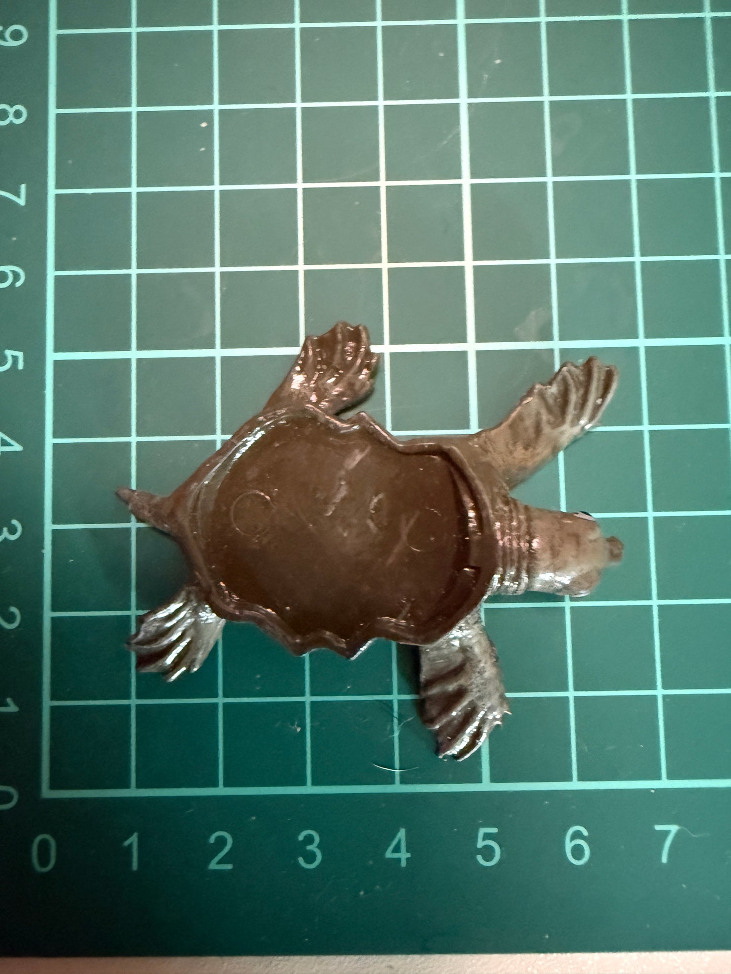 Japan Hikari exclusive Pig-nosed turtle Fly River turtle PVC mini Model Figurine Figure (parts)