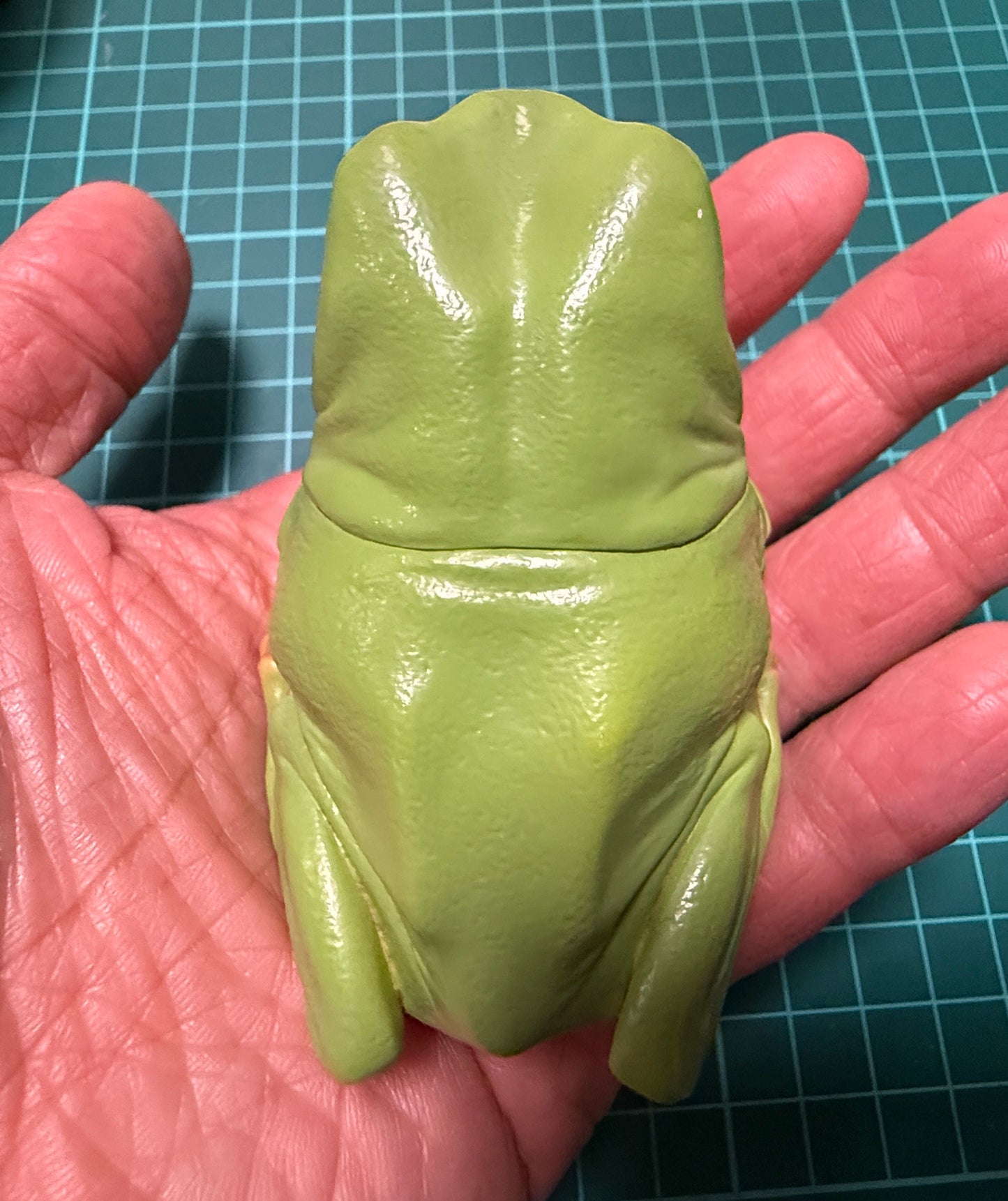 Kitan Club Nature Techni Color Australian green tree frog (白氏樹蛙) PVC mini capsule figure model figurine A