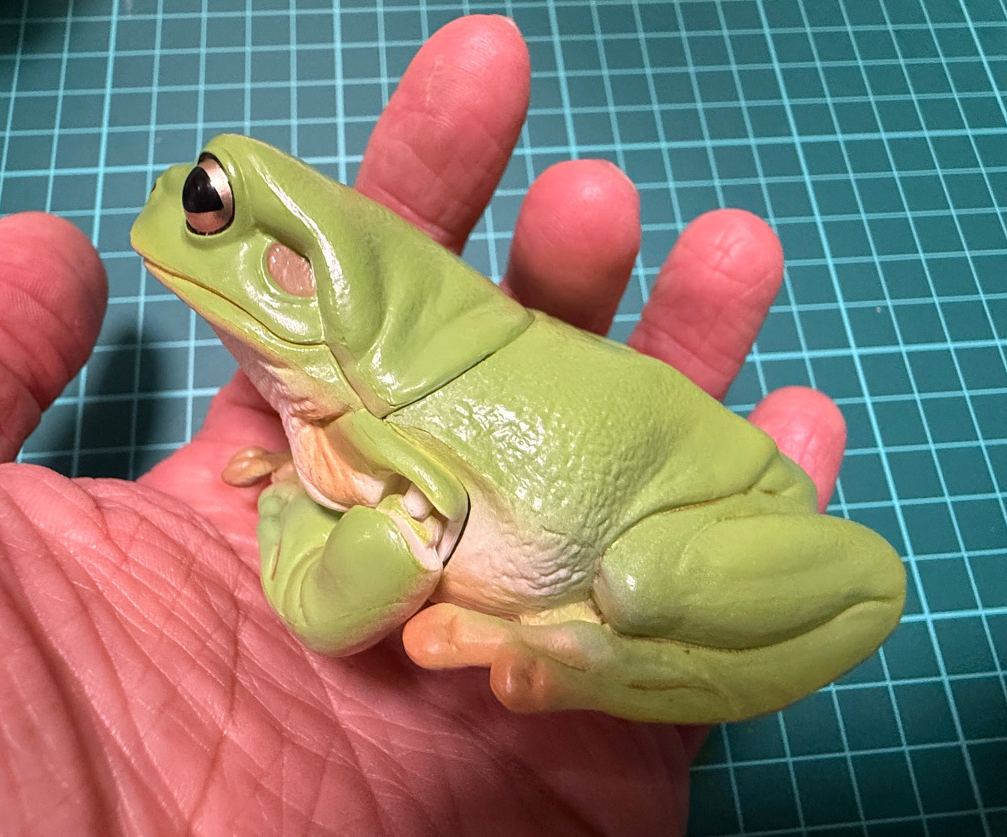 Kitan Club Nature Techni Color Australian green tree frog (白氏樹蛙) PVC mini capsule figure model figurine A