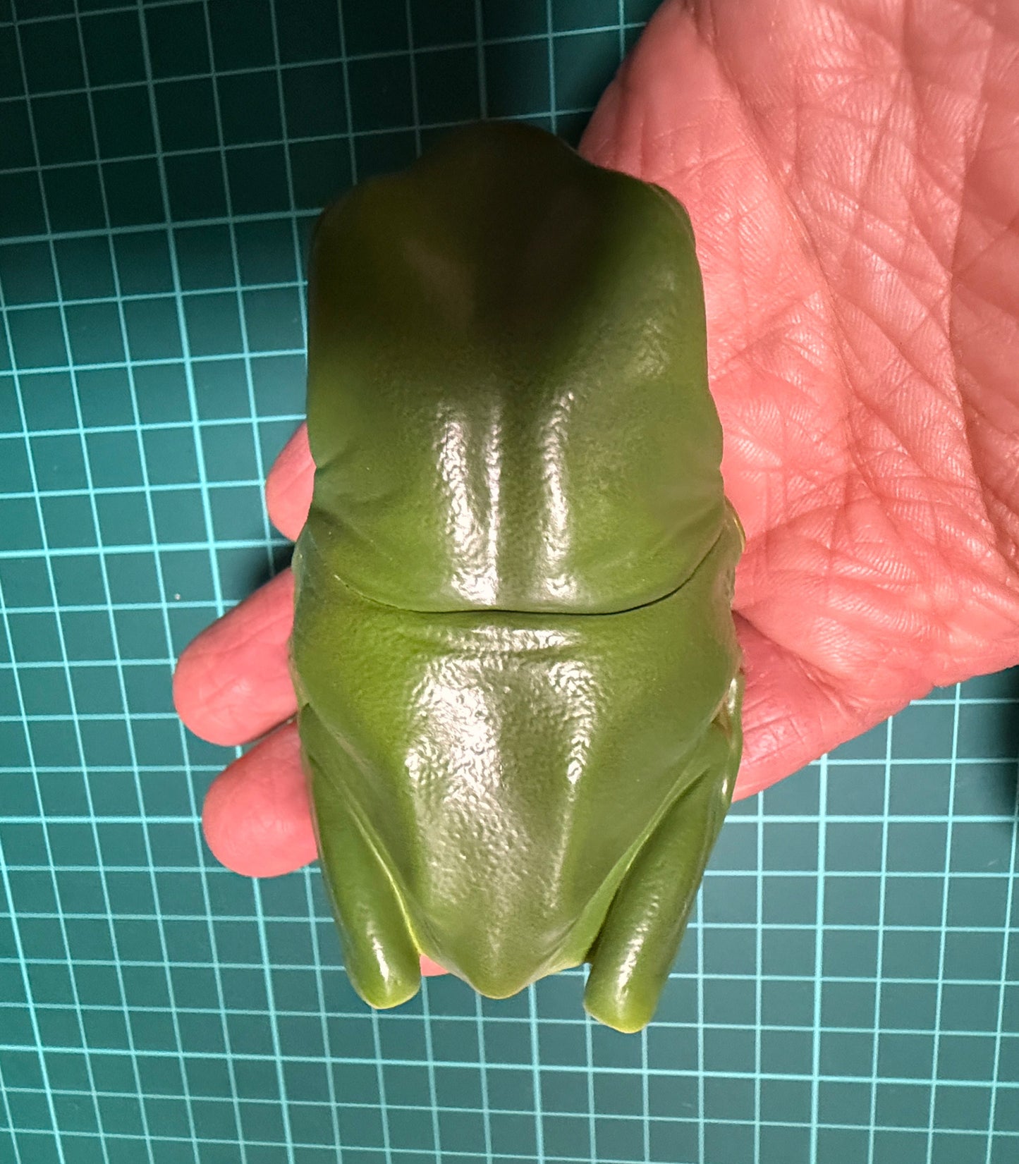 Kitan Club Nature Techni Color Australian green tree frog (白氏樹蛙) PVC mini capsule figure model figurine B