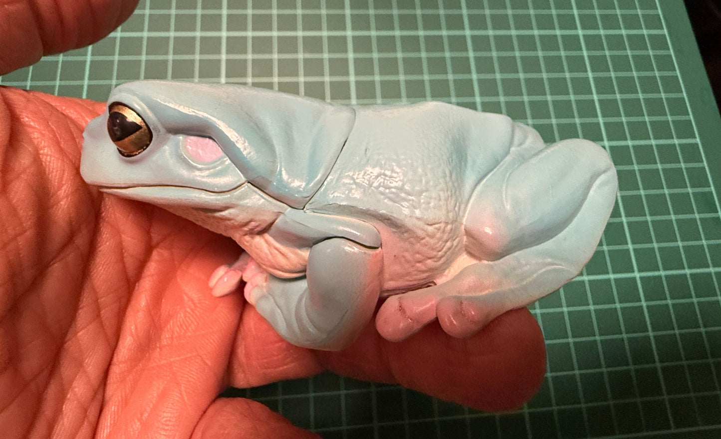 Kitan Club Nature Techni Color Australian green tree frog (白氏樹蛙) PVC mini capsule figure model figurine D