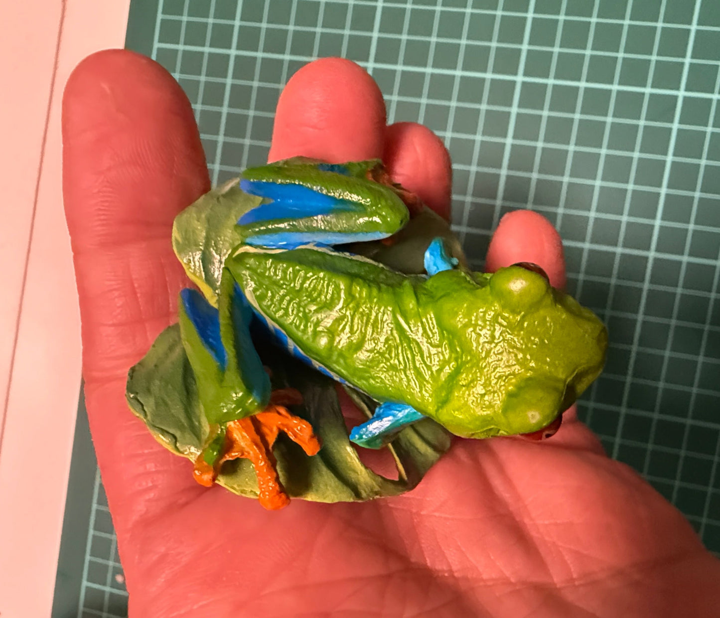 Red Eyed green tree frog (紅眼樹蛙) PVC mini capsule figure model figurine with base
