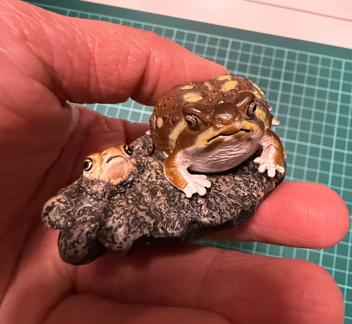 Japan Bushveld rain frog Toad (饅頭蛙) PVC mini capsule figure model figurine with base