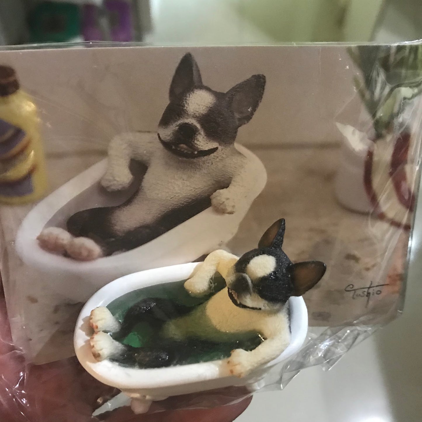 Japan Asakuma Toshio french bulldog bathing dog PVC mini figurine figure model