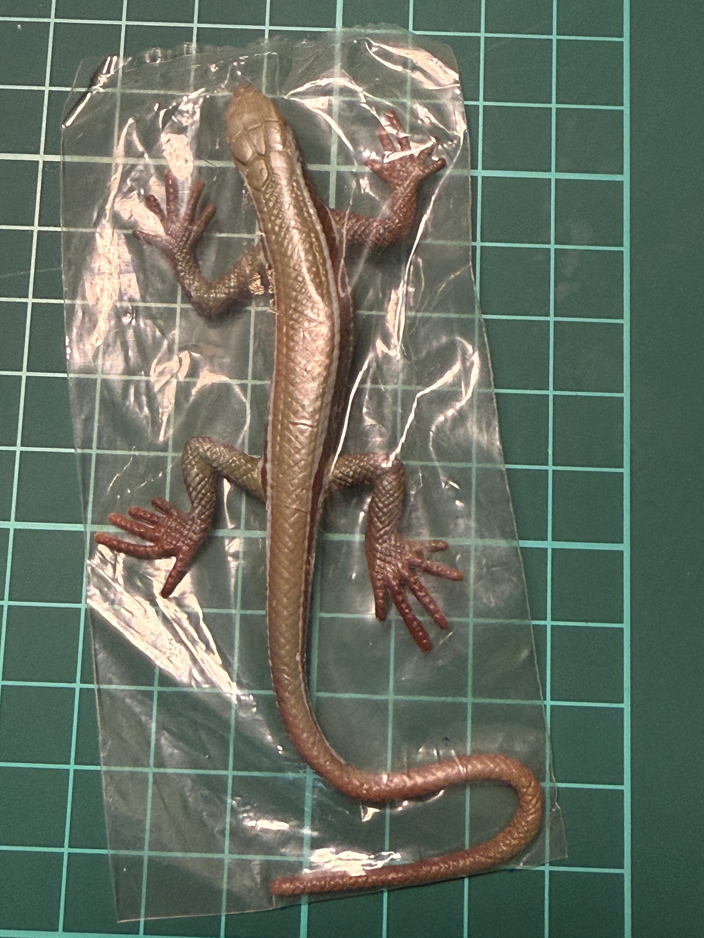 Retired Japan Yujin Lizard of the World PVC mini figure model Set ( 22 pcs included secret item)