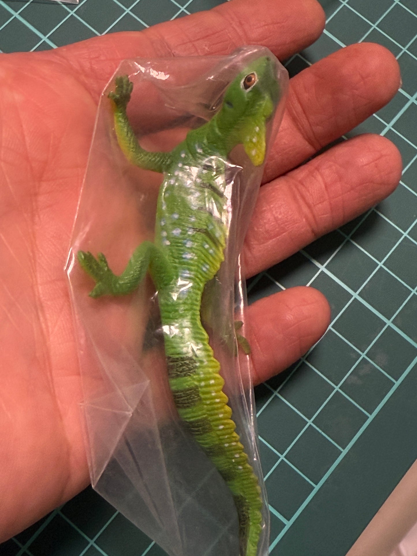 Retired Japan Yujin Lizard of the World PVC mini figure model Set ( 22 pcs included secret item)
