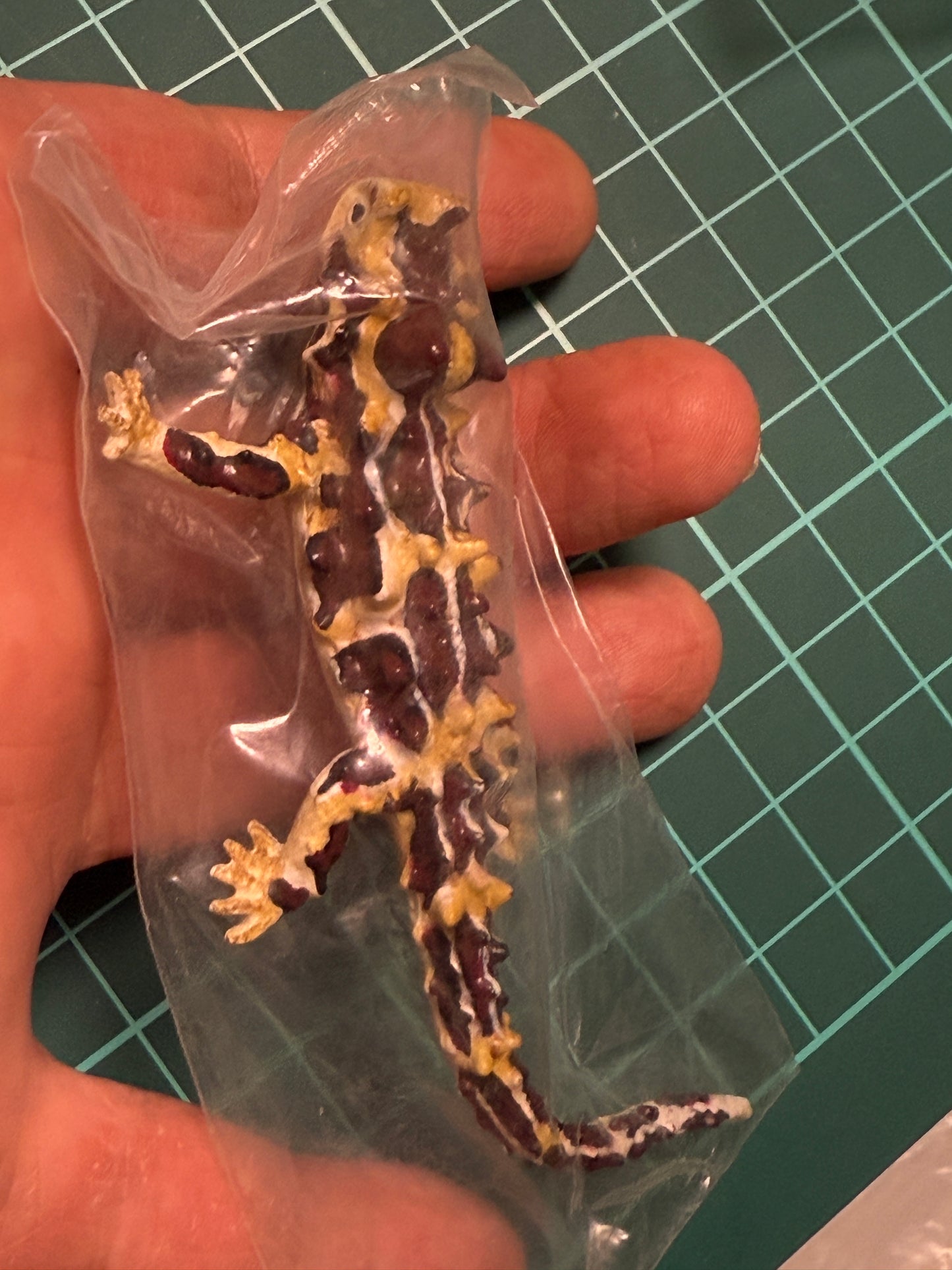 Retired Japan Yujin Lizard of the World PVC mini figure model Set ( 22 pcs included secret item)