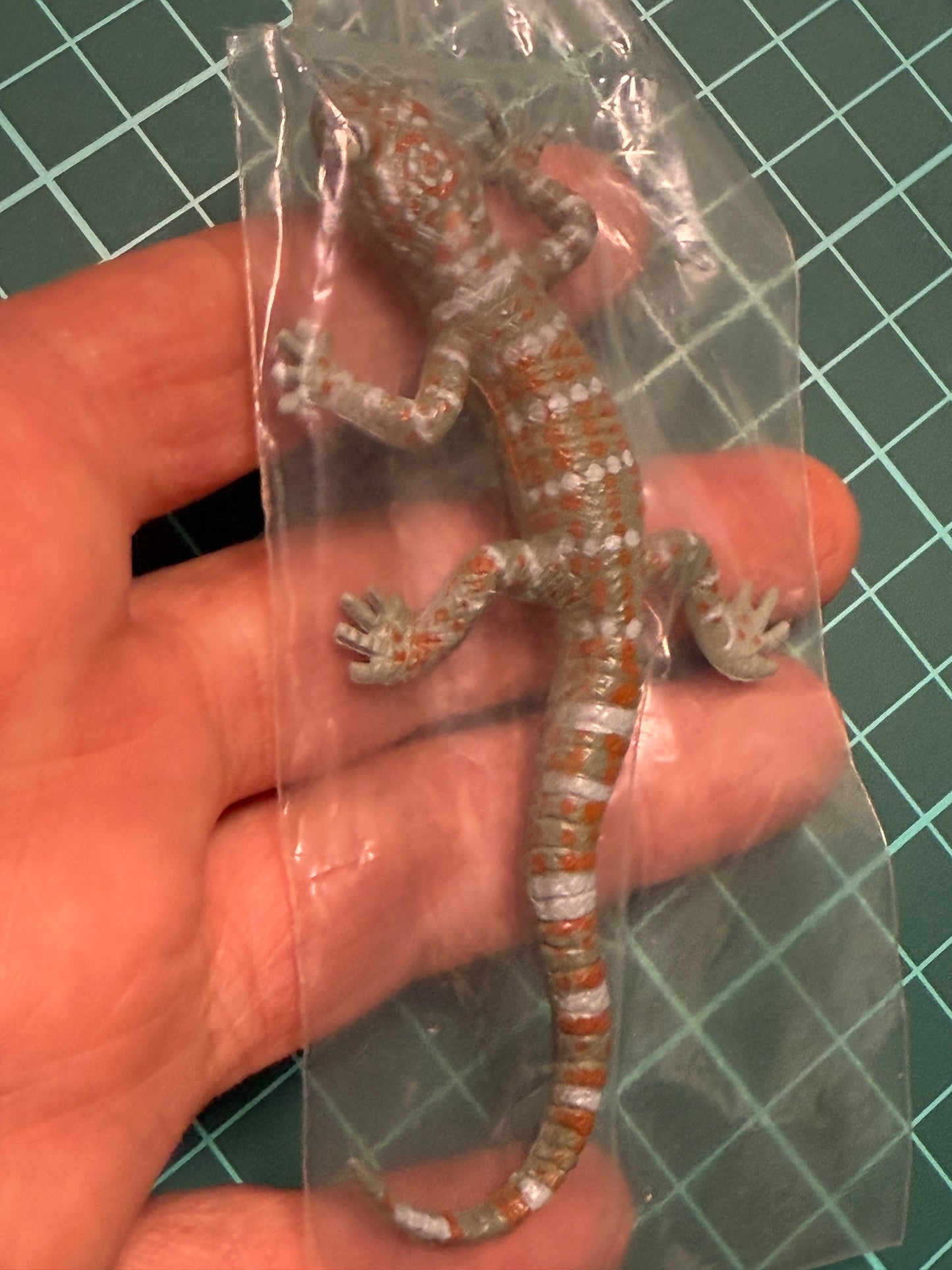 Retired Japan Yujin Lizard of the World PVC mini figure model Set ( 22 pcs included secret item)