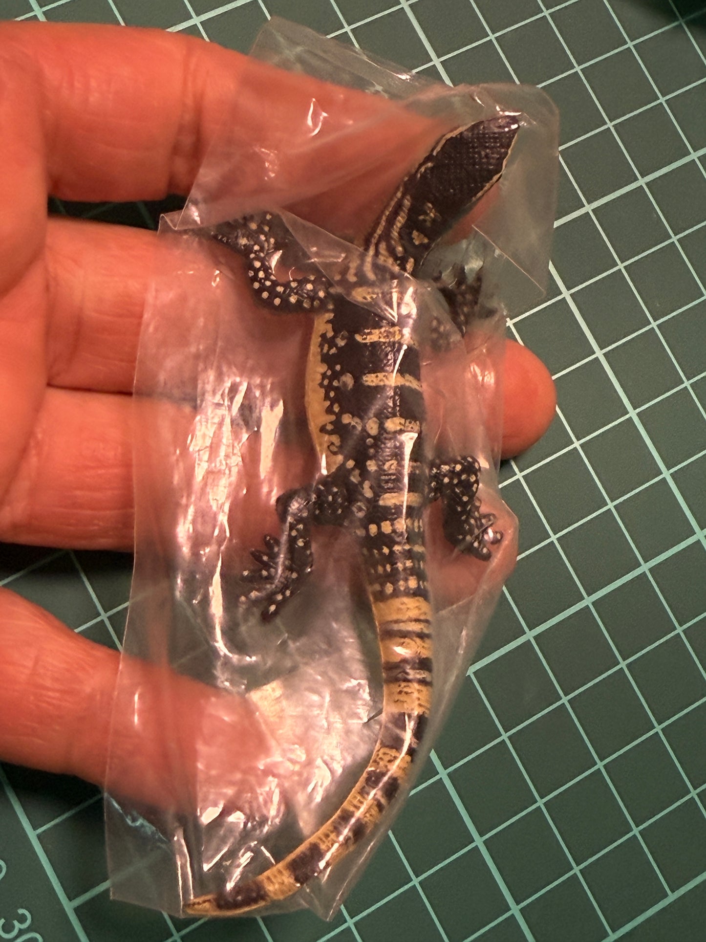 Retired Japan Yujin Lizard of the World PVC mini figure model Set ( 22 pcs included secret item)