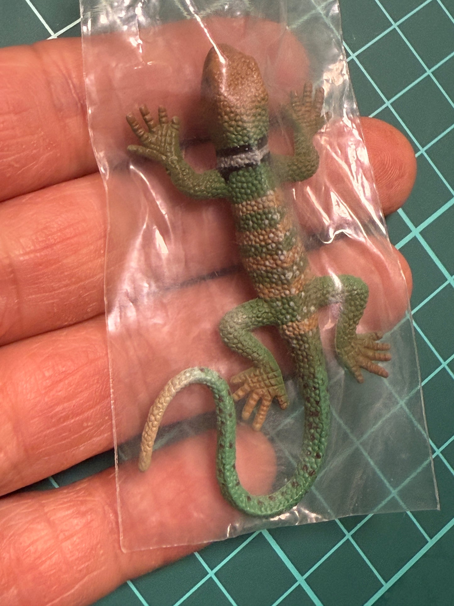 Retired Japan Yujin Lizard of the World PVC mini figure model Set ( 22 pcs included secret item)