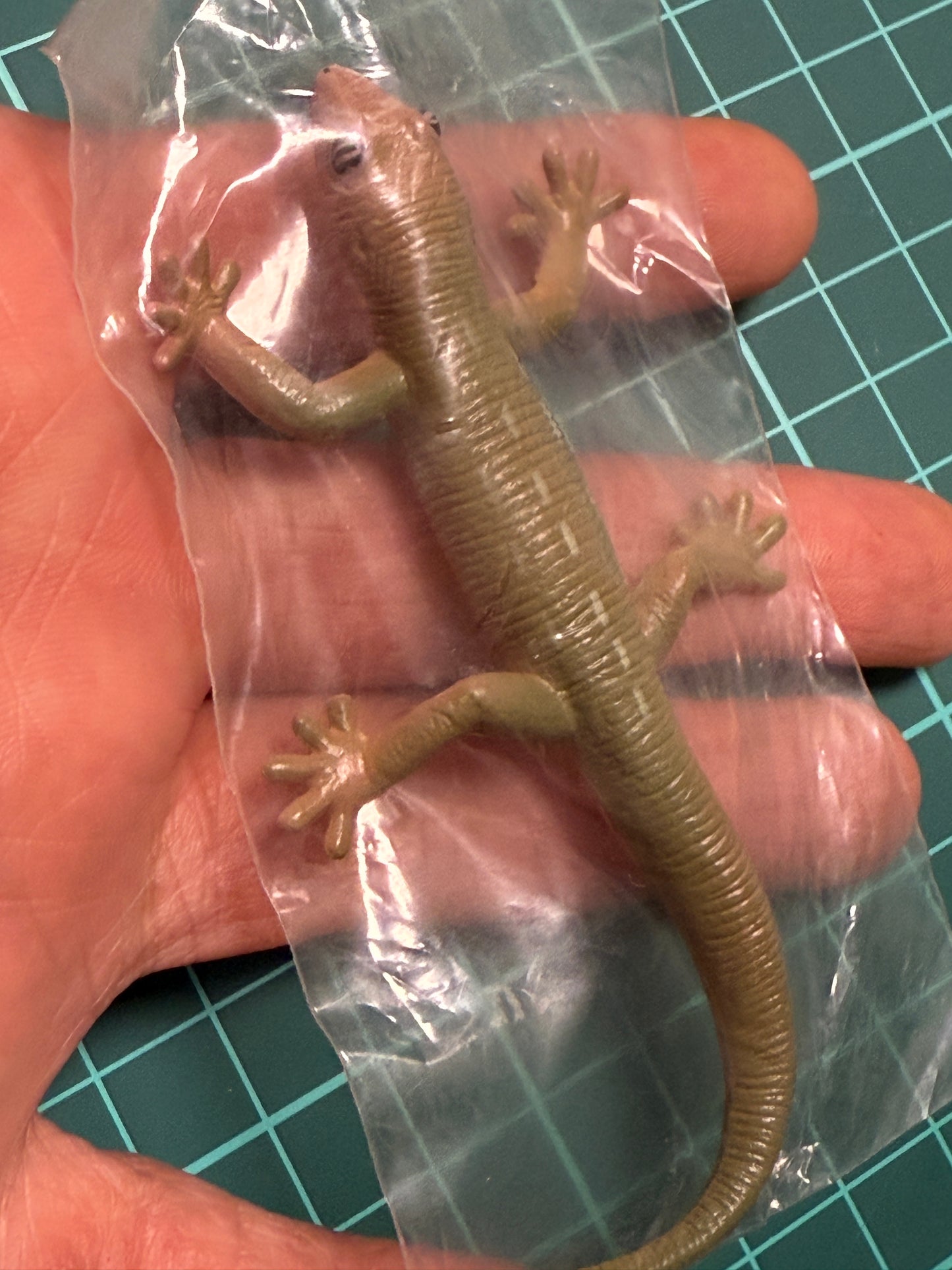Retired Japan Yujin Lizard of the World PVC mini figure model Set ( 22 pcs included secret item)