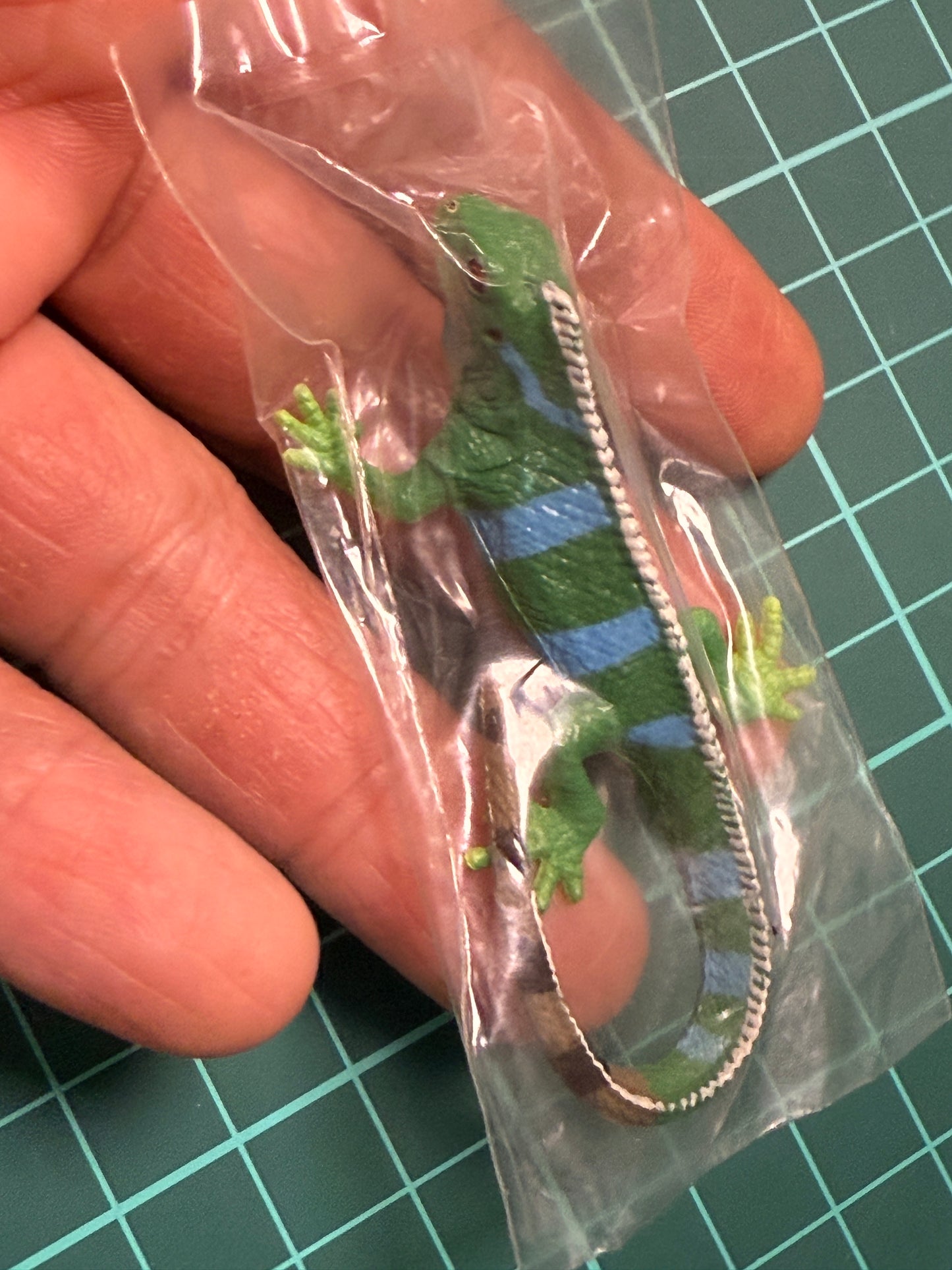 Retired Japan Yujin Lizard of the World PVC mini figure model Set ( 22 pcs included secret item)