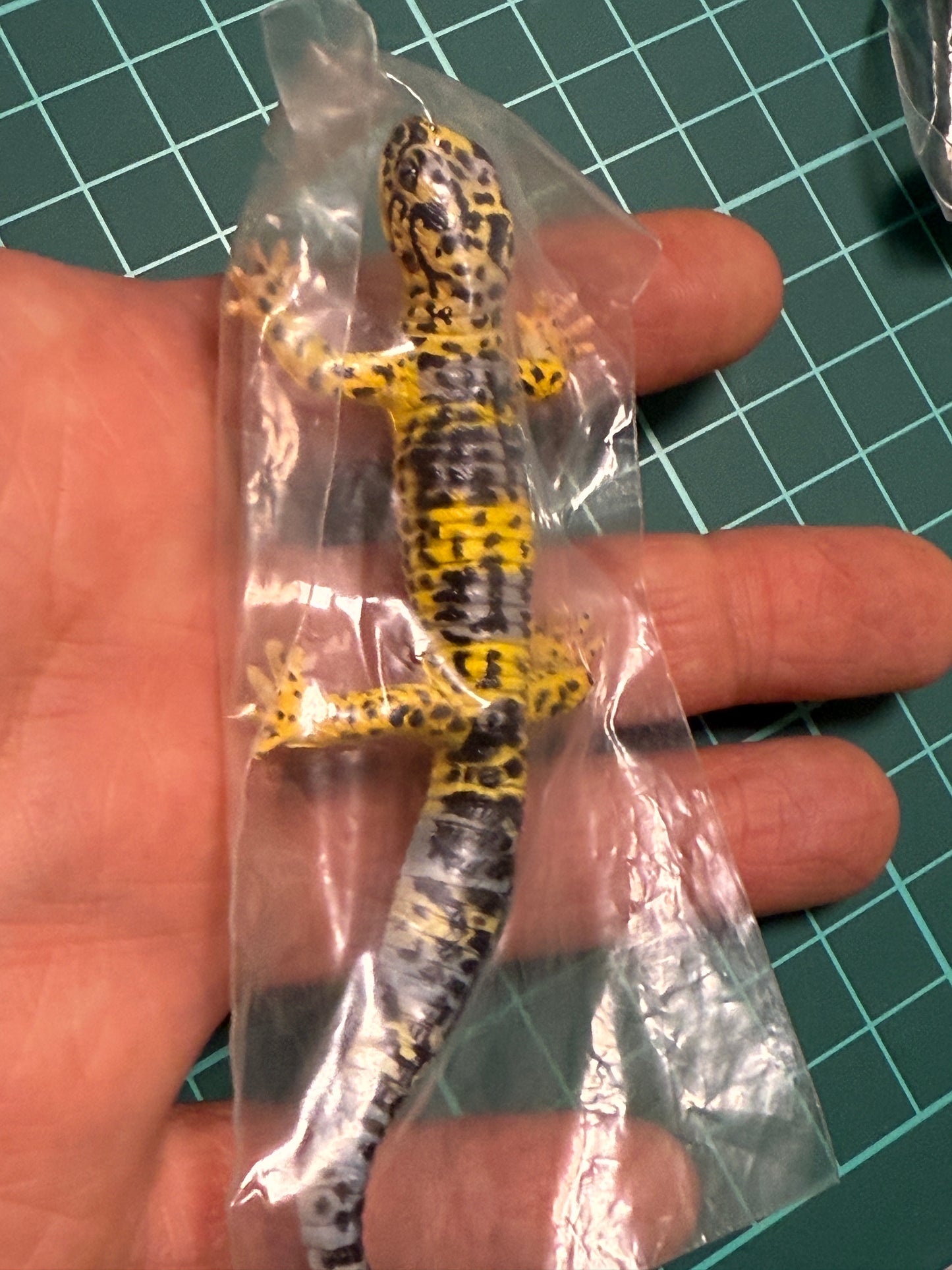 Retired Japan Yujin Lizard of the World PVC mini figure model Set ( 22 pcs included secret item)