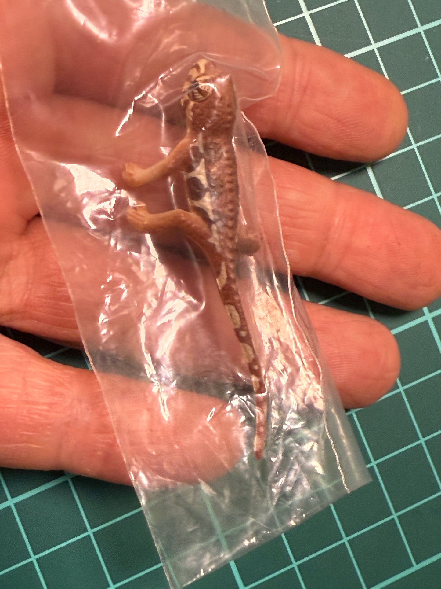 Retired Japan Yujin Lizard of the World PVC mini figure model Set ( 22 pcs included secret item)