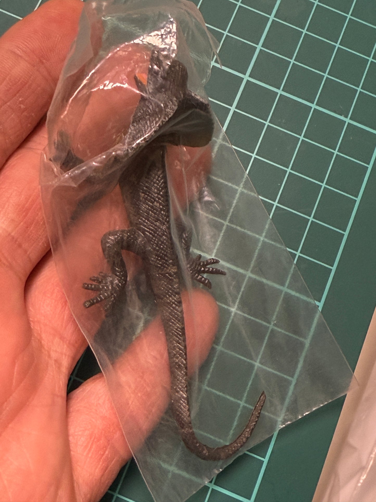 Retired Japan Yujin Lizard of the World PVC mini figure model Set ( 22 pcs included secret item)