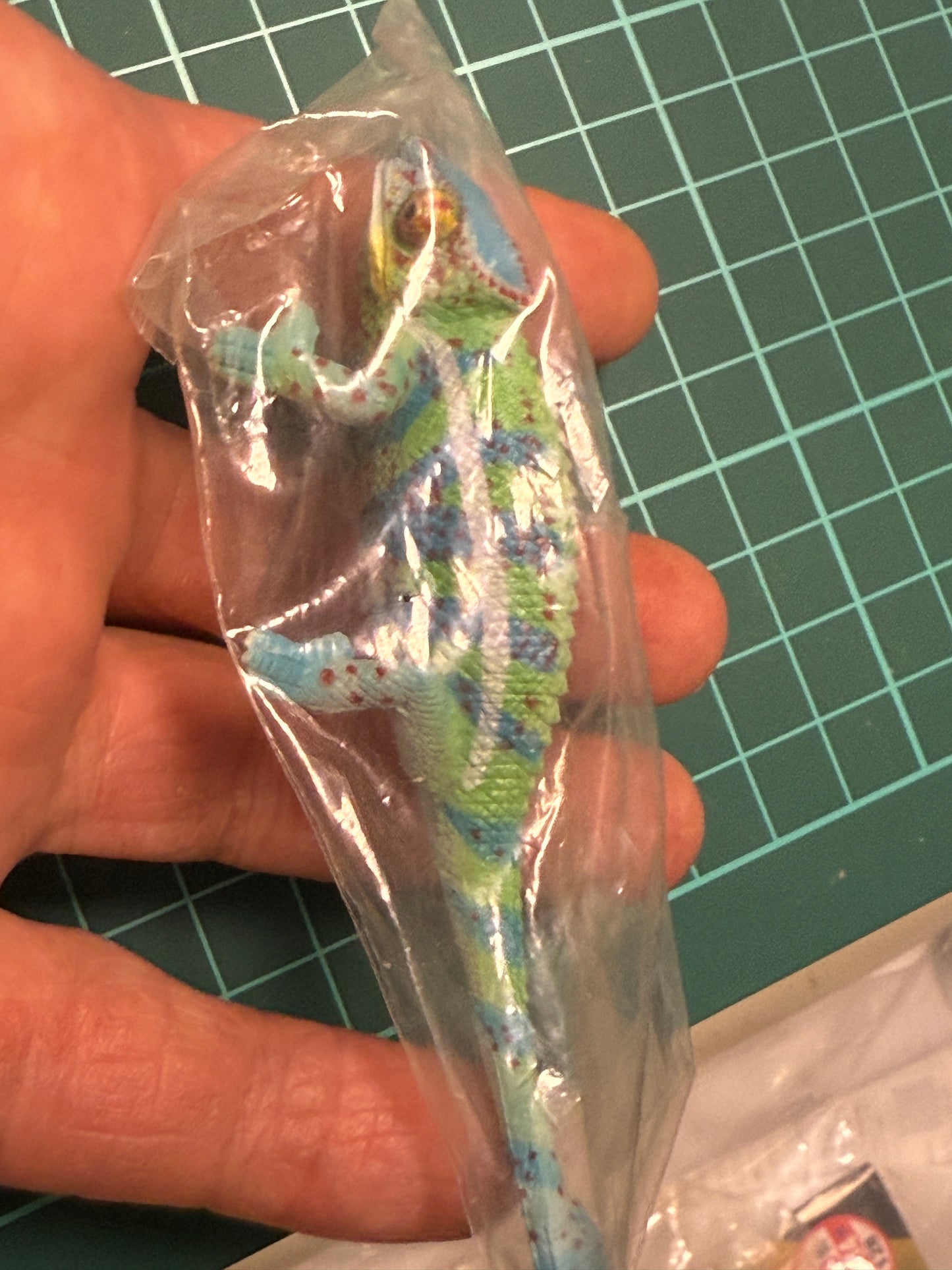 Retired Japan Yujin Lizard of the World PVC mini figure model Set ( 22 pcs included secret item)