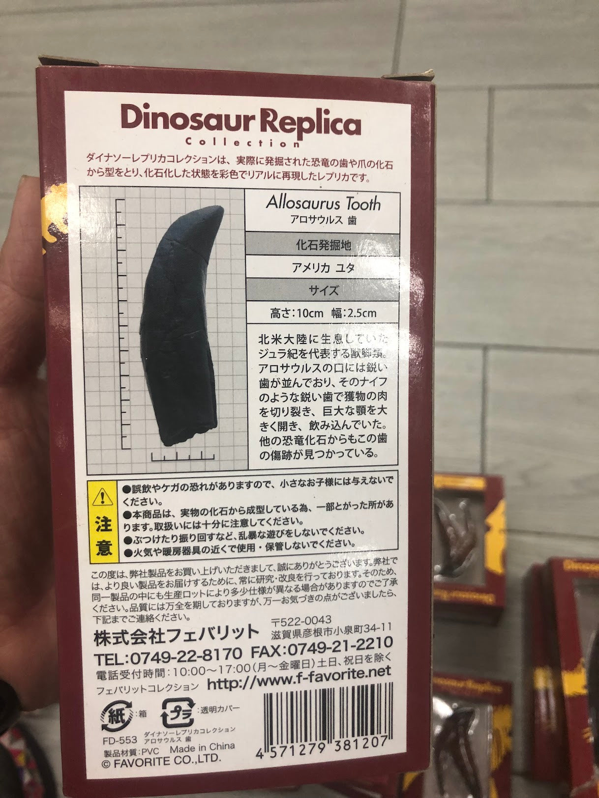 Retired Japan Dinosaur Replica Allosaurus Tooth PVC Figure Figurine Model