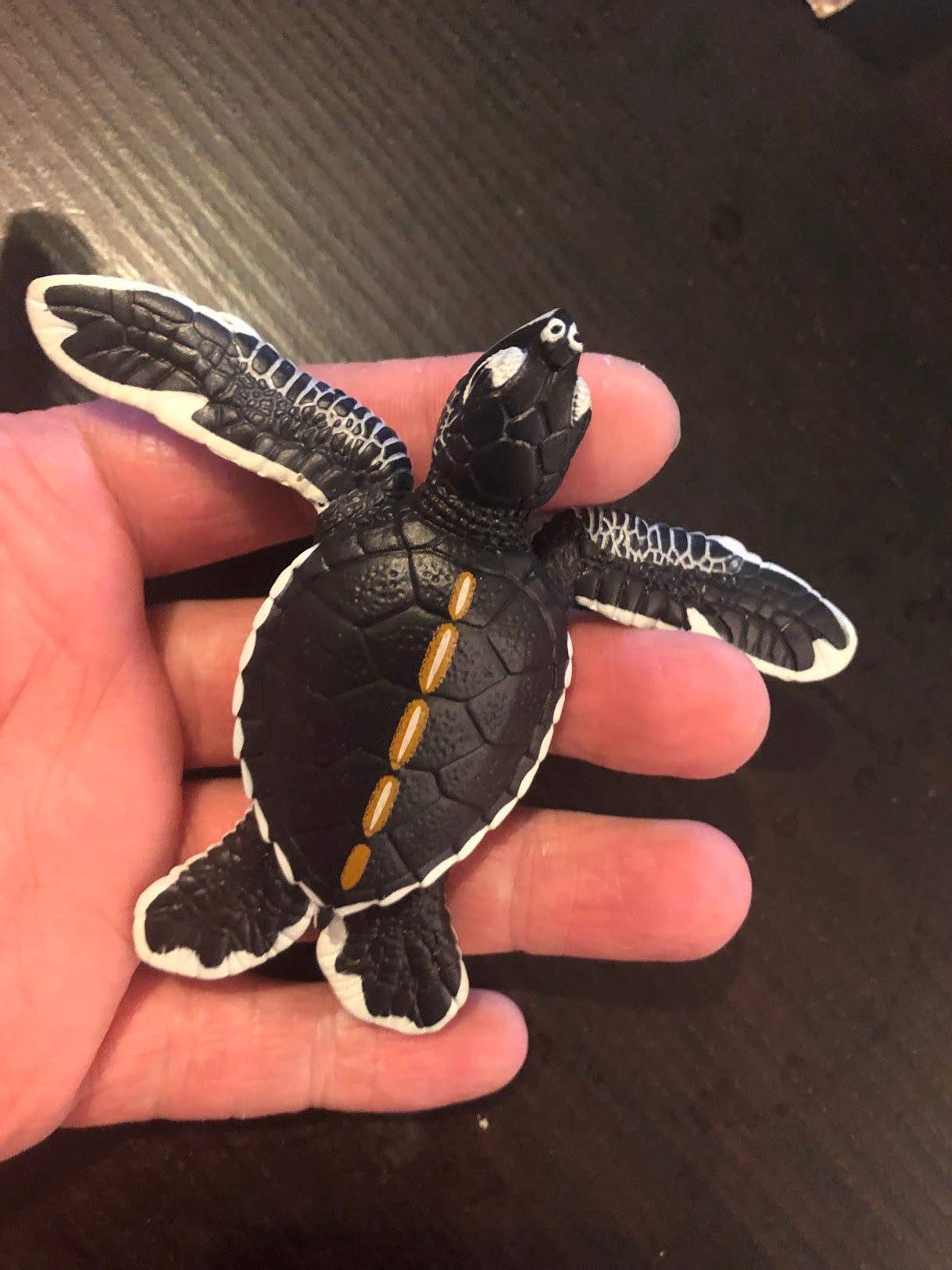 Ogasawara Marine Center exclusive Green Sea Turtle Baby PVC Model Figure Figurine, rare item