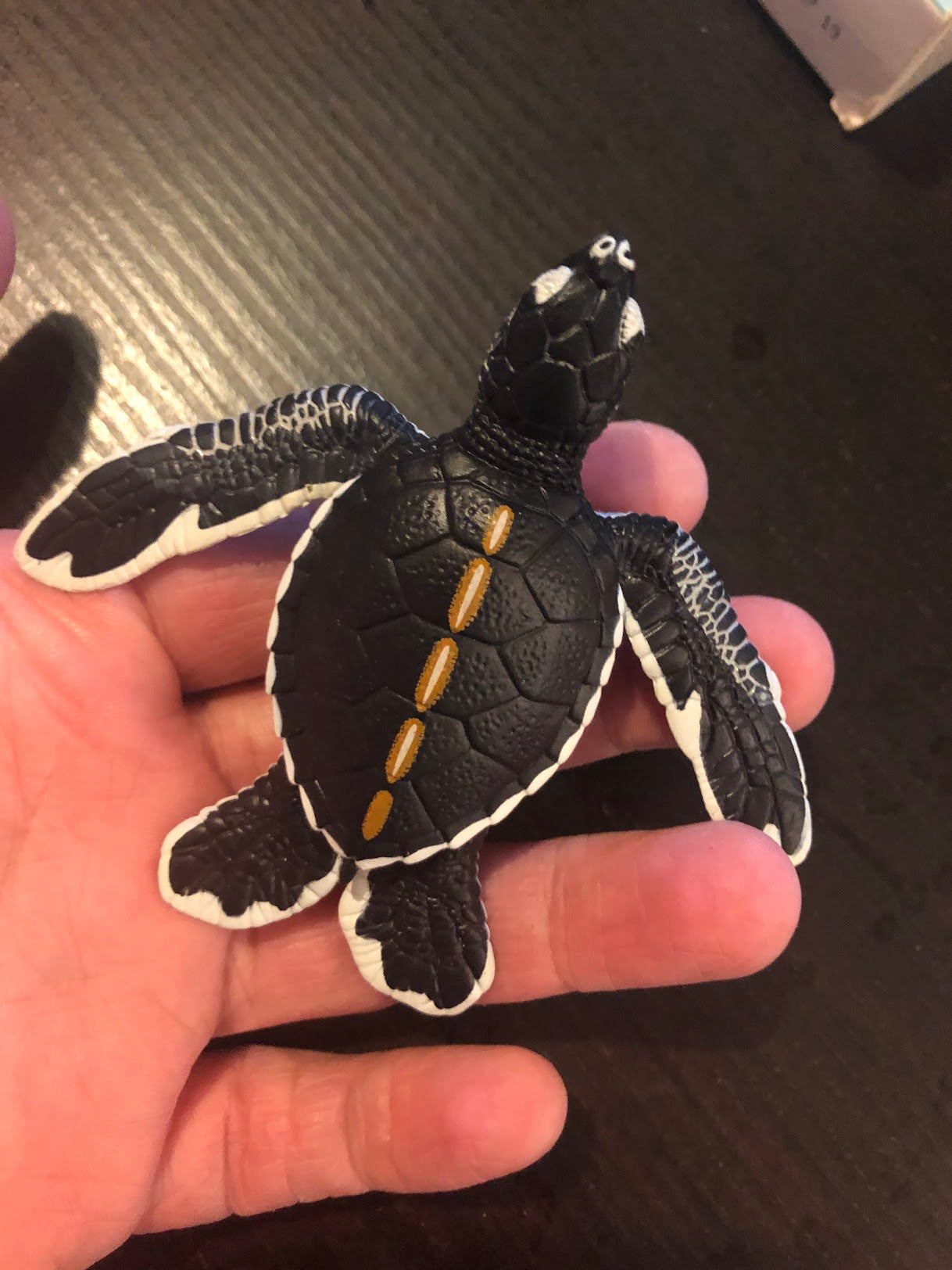 Ogasawara Marine Center exclusive Green Sea Turtle Baby PVC Model Figure Figurine, rare item