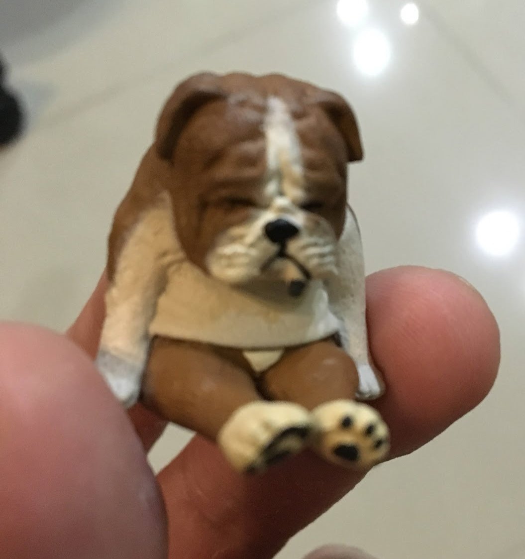 Japan ZooZooZoo Sleeping English Bulldog dog animal PVC mini Model Figure Figurine