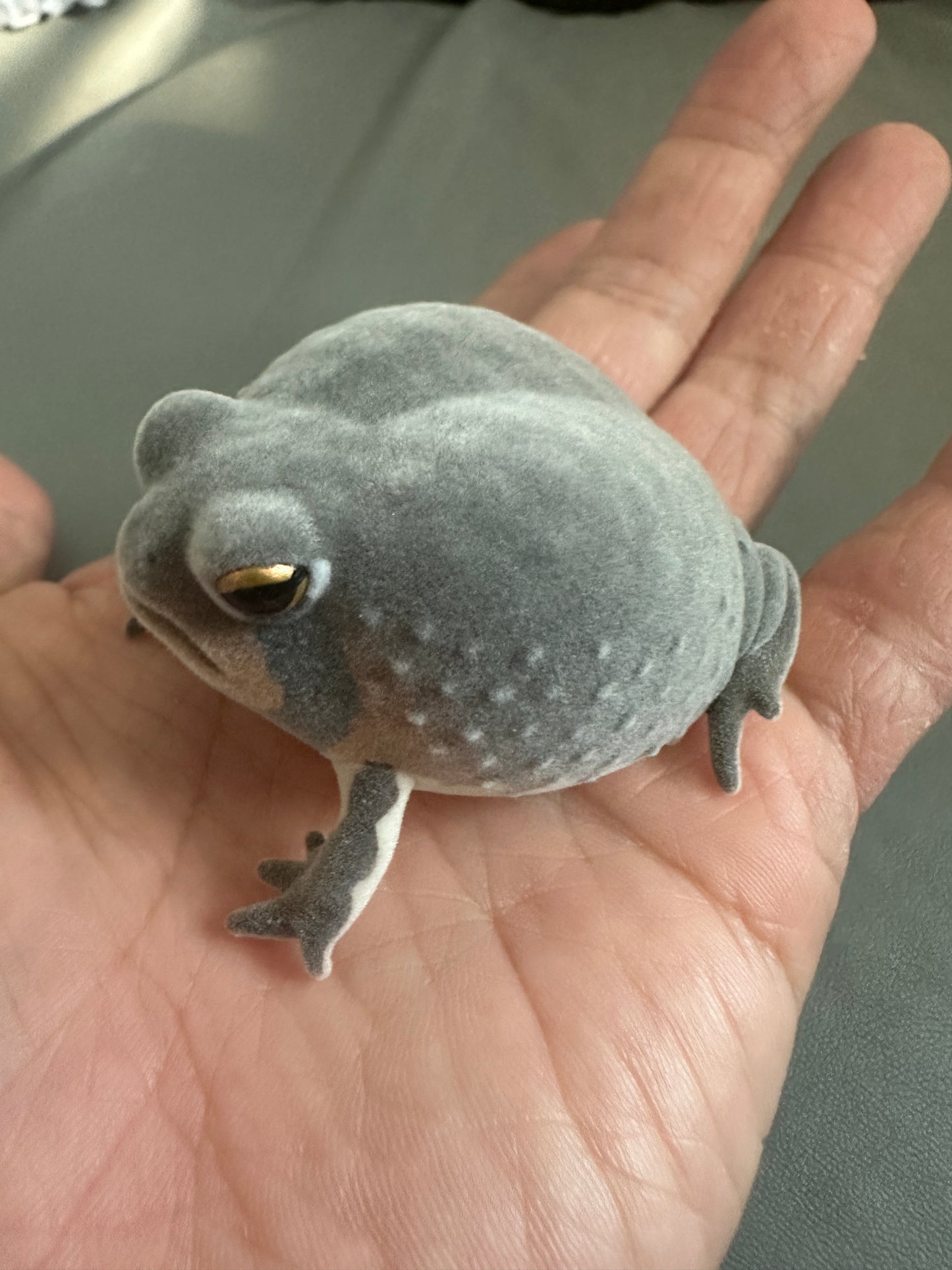 Japan Fluff Bushveld rain frog Toad Super Q Model Figure Figurine D