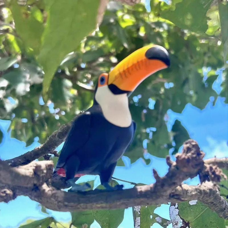Japan Toco Toucan Bird PVC mini figure model capsule A