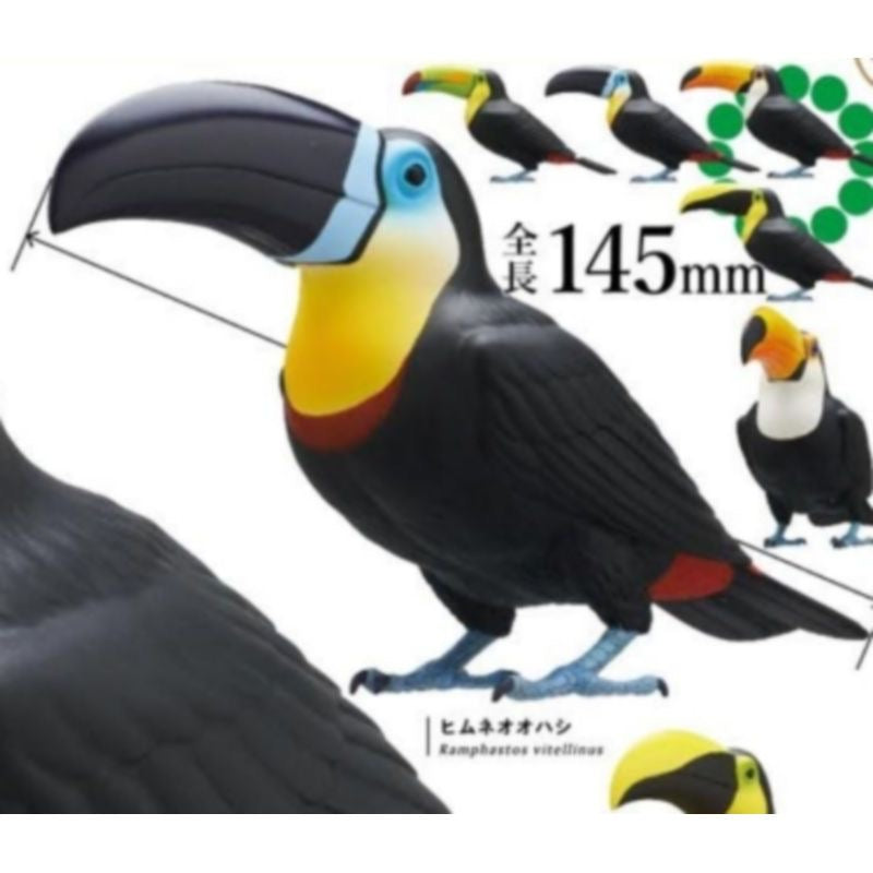 Japan Toucan Bird PVC mini figure model capsule D