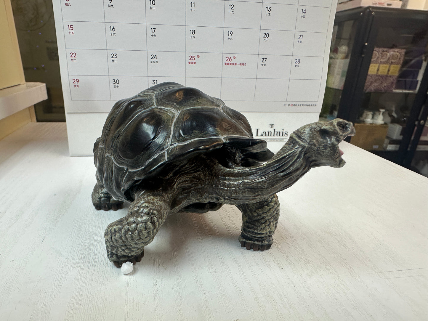 Baby Galápagos Galapagos Giant Land Tortoise Resin Replica Model Figurine 12cm (open mouth)