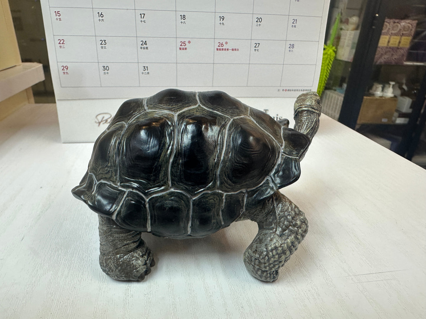 Baby Galápagos Galapagos Giant Land Tortoise Resin Replica Model Figurine 12cm (open mouth)