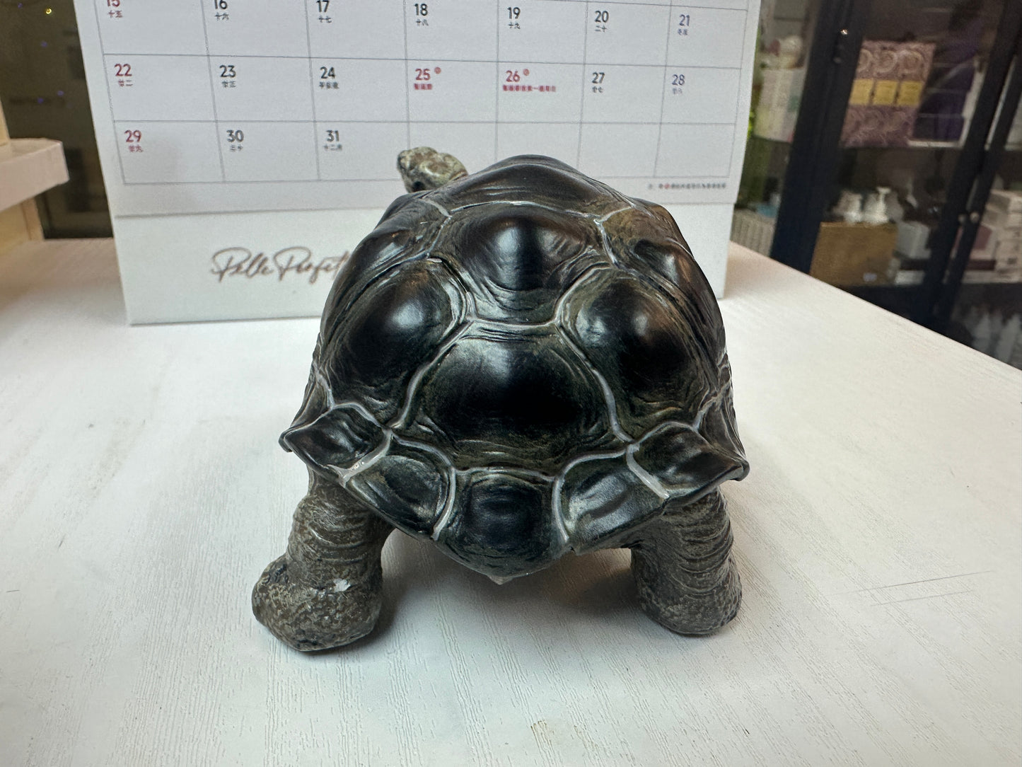 Baby Galápagos Galapagos Giant Land Tortoise Resin Replica Model Figurine 12cm (open mouth)
