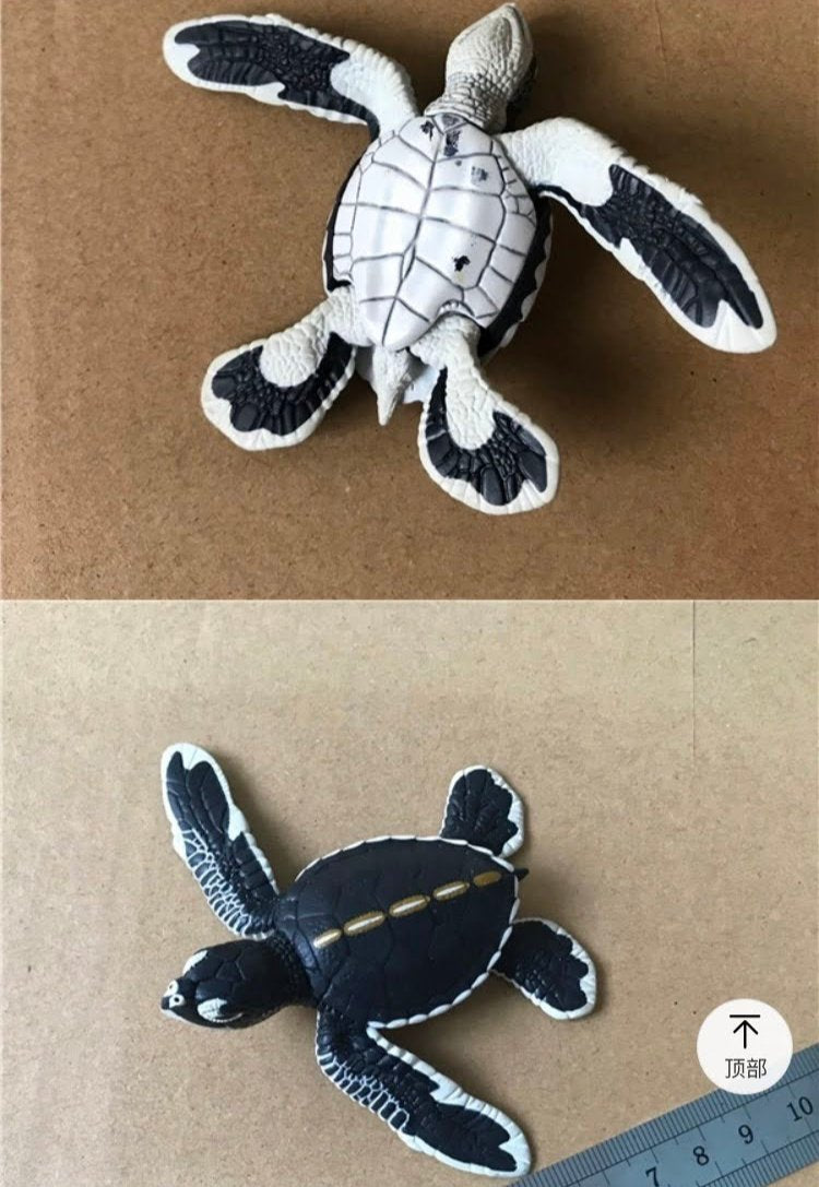 Ogasawara Marine Center exclusive Green Sea Turtle Baby PVC Model Figure Figurine, rare item