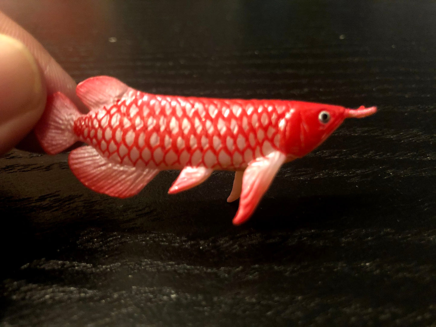 Japan Red Asian Arowana ancient fish animal PVC mini Figure Model Figurine