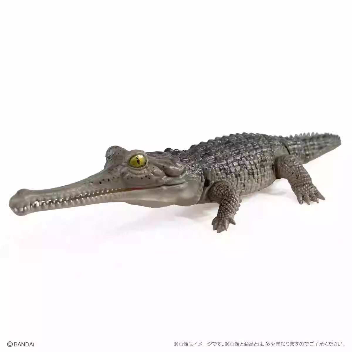 Japan Q Gharial Crocodile (Dark) PVC Action Figure model with 7 joints