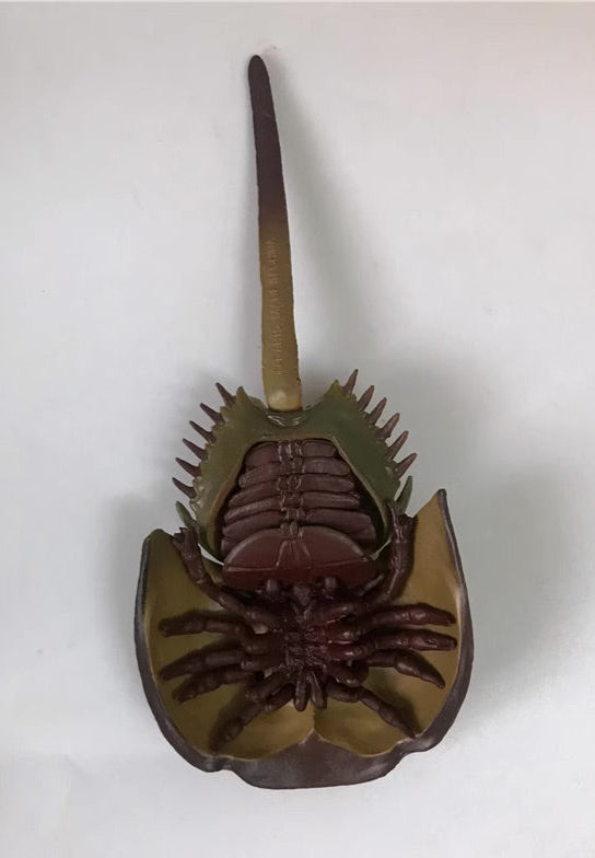 Japan Horseshoe crab animal PVC Action Figure Model with Joints
